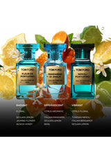 Tom Ford Neroli Portofino Edp 100ml Unisex Parfüm yorum görseli