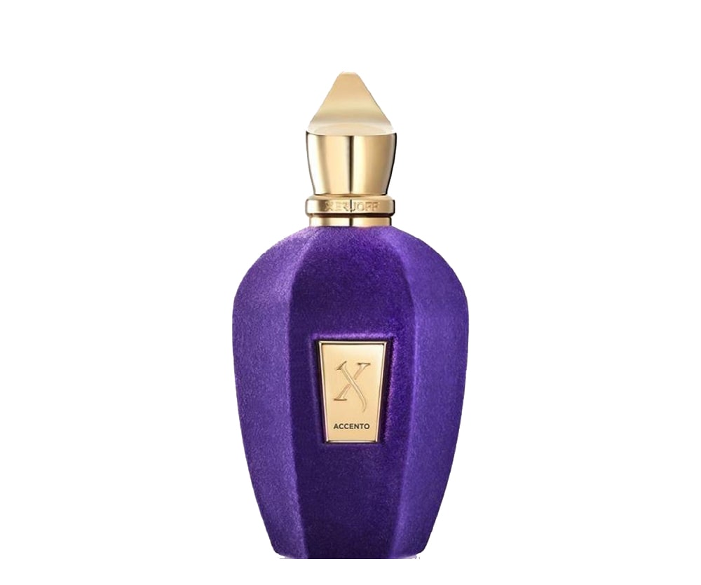 Xerjoff Accento - Eau De Parfum 100ML İthal Unisex Ürün ikincil görseli